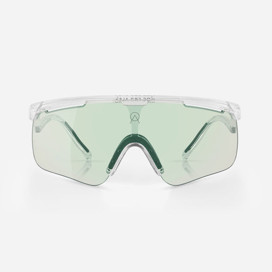 DELTA Crystal Glossy Beetle