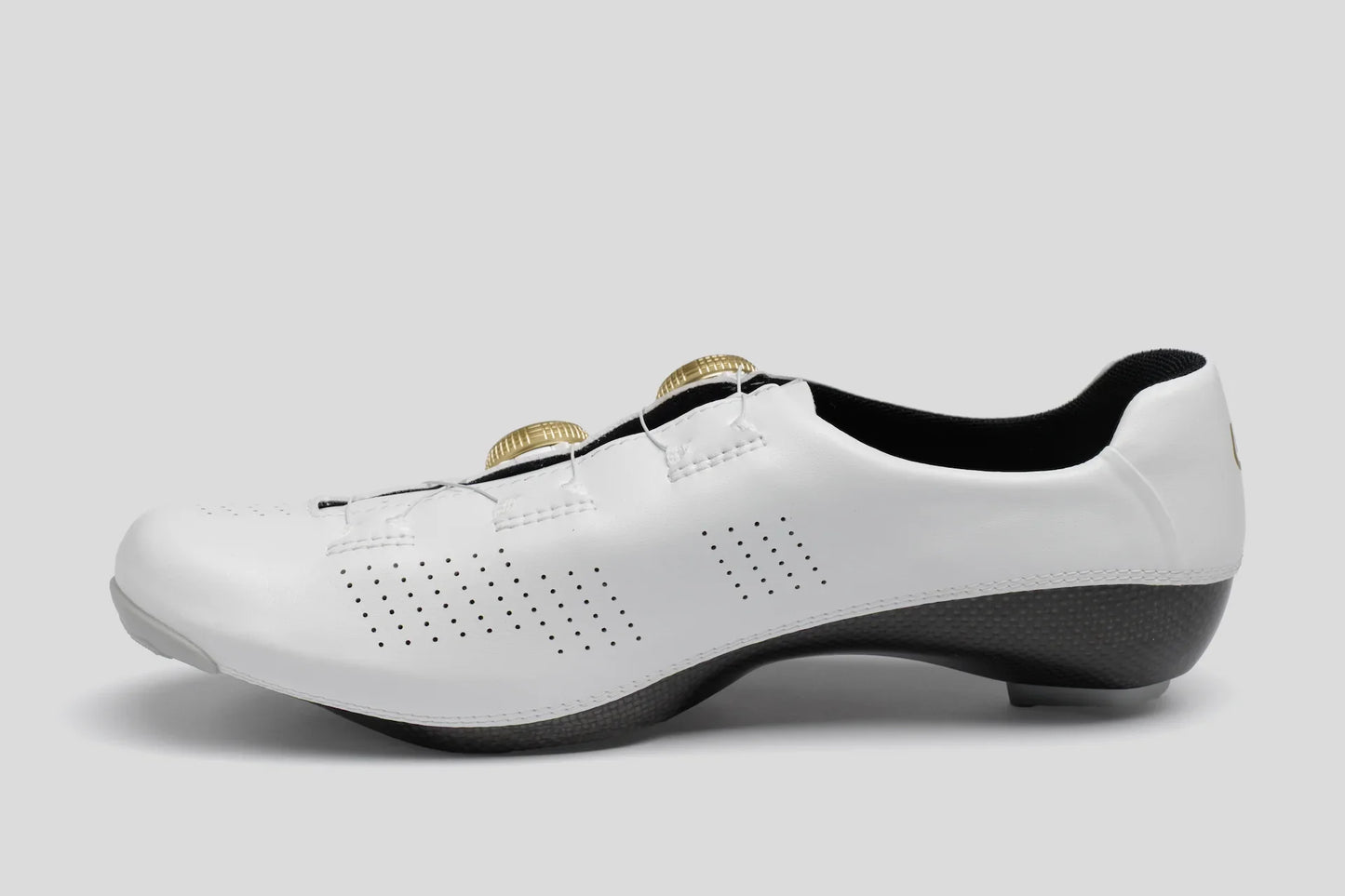 Exceed White Gold